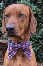 Load image into Gallery viewer, Koa's Ruff Life, Koa in a large pink/blue plaid sailor bow