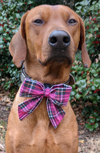 Load image into Gallery viewer, Koa's Ruff Life, Koa in a large Valentine's Day tartan plaid sailor bow