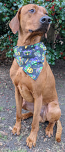 Load image into Gallery viewer, Koa's Ruff Life, Koa in a large Mardi Gras bandana .