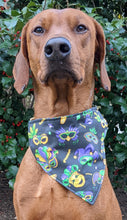 Load image into Gallery viewer, Koa's Ruff Life, Koa in a large Mardi Gras bandana