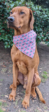 Load image into Gallery viewer, Koa's Ruff Life, Koa in a large pink birthday girl bandana