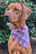 Load image into Gallery viewer, Pink/Blue Plaid Bandana