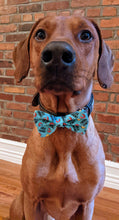 Load image into Gallery viewer, Koa's Ruff Life, Koa in a large chick magnet bow tie