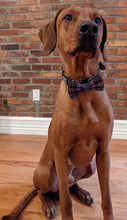 Load image into Gallery viewer, Koa's Ruff Life, Koa in a large purple plaid bow tieKoa's Ruff Life, Koa in a large purple plaid bow tie