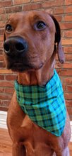 Load image into Gallery viewer, Koa's Ruff Life, Koa in a large luck of the Irish plaid bandana personalized with your pup's name