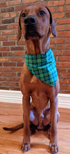 Load image into Gallery viewer, Koa's Ruff Life, Koa in a large luck of the Irish plaid bandana personalized with your pup's name