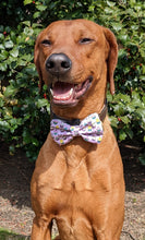 Load image into Gallery viewer, Koa's Ruff Life, Koa in a large easter cupcake bow tie