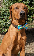 Load image into Gallery viewer, Koa's Ruff Life, Koa in a large spring plaid bow tie