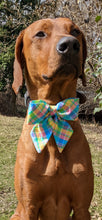 Load image into Gallery viewer, Koa's Ruff Life, Koa in a large spring plaid sailor bow