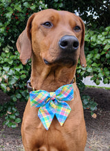 Load image into Gallery viewer, Koa's Ruff Life, Koa in a large spring plaid sailor bow