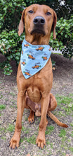 Load image into Gallery viewer, Koa in a large bunny carrot racer bandana