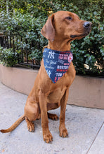 Load image into Gallery viewer, Koa's Ruff Life, Koa in a customized bandana personalized.