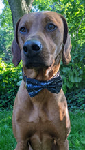 Load image into Gallery viewer, Koa's Ruff Life, Koa in a large swimming with sharks pattern 1 bow tie