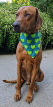 Load image into Gallery viewer, Koa's Ruff Life, Koa in a large tennis heart bandana.