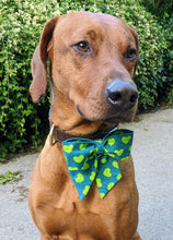Load image into Gallery viewer, Koa's Ruff Life, Koa in a large tennis heart sailor bow..