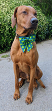 Load image into Gallery viewer, Koa's Ruff Life, Koa in a large tennis heart sailor bow..