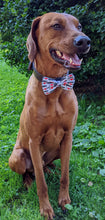 Load image into Gallery viewer, Koa's Ruff Life, Koa in a large white "I love mommy" bow tie