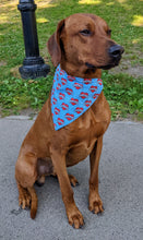 Load image into Gallery viewer, Koa's Ruff Life, Koa in a large dad heart tattoo bandana