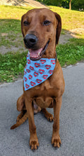 Load image into Gallery viewer, Koa's Ruff Life, Koa in a large mom heart tattoo bandana