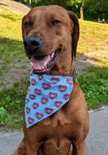 Load image into Gallery viewer, Koa's Ruff Life, Koa in a large mom heart tattoo bandana