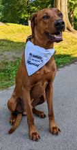 Load image into Gallery viewer, Koa's Ruff Life, Koa in. a large 'My humans are getting married' dog bandana