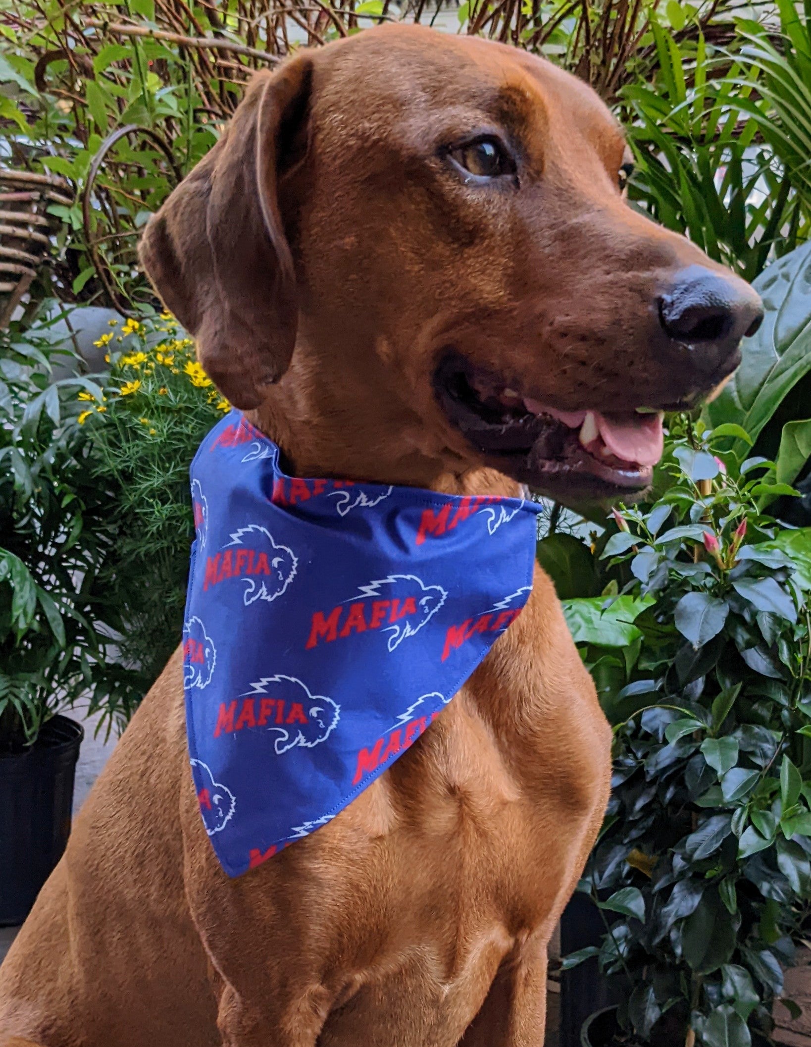 Buffalo Bills Slide Through Dog Bandana 