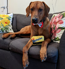 Load image into Gallery viewer, Koa's Ruff Life, MTA NYC metrocard dog toy