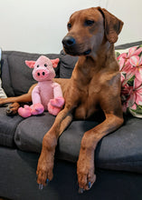 Load image into Gallery viewer, Koa's Ruff Life, floppy pink pig large dog toy