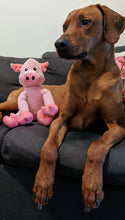 Load image into Gallery viewer, Koa's Ruff Life, floppy pink pig large dog toy