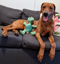 Load image into Gallery viewer, Koa's Ruff Life, floppy turtle large dog toy