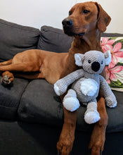 Load image into Gallery viewer, Koa's Ruff Life, floppy koala large dog toy