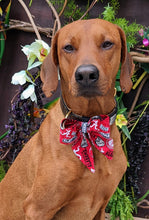 Load image into Gallery viewer, University of Alabama Crimson Tide Sailor Bow  - Football Collection