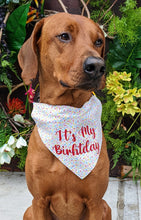 Load image into Gallery viewer, Koa's Ruff Life, Koa in a large "it's my birthday" sprinkle dog bandana