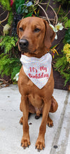 Load image into Gallery viewer, Koa's Ruff Life, Koa in a large "it's my birthday" sprinkle dog bandana