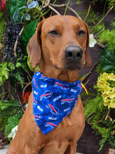 Load image into Gallery viewer, Koa's Ruff Life, Koa in a large Buffalo Bills tie die dog bandana