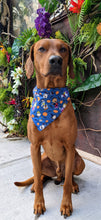 Load image into Gallery viewer, Koa's Ruff Life, Koa in a large blue Peanuts costume halloween bandana for dogs