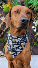 Load image into Gallery viewer, Koa's Ruff Life, Koa in a large New Orleans Saints retro bandana for dogs