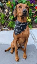 Load image into Gallery viewer, Koa's Ruff Life, Koa in a large New Orleans Saints camo bandana for dogs