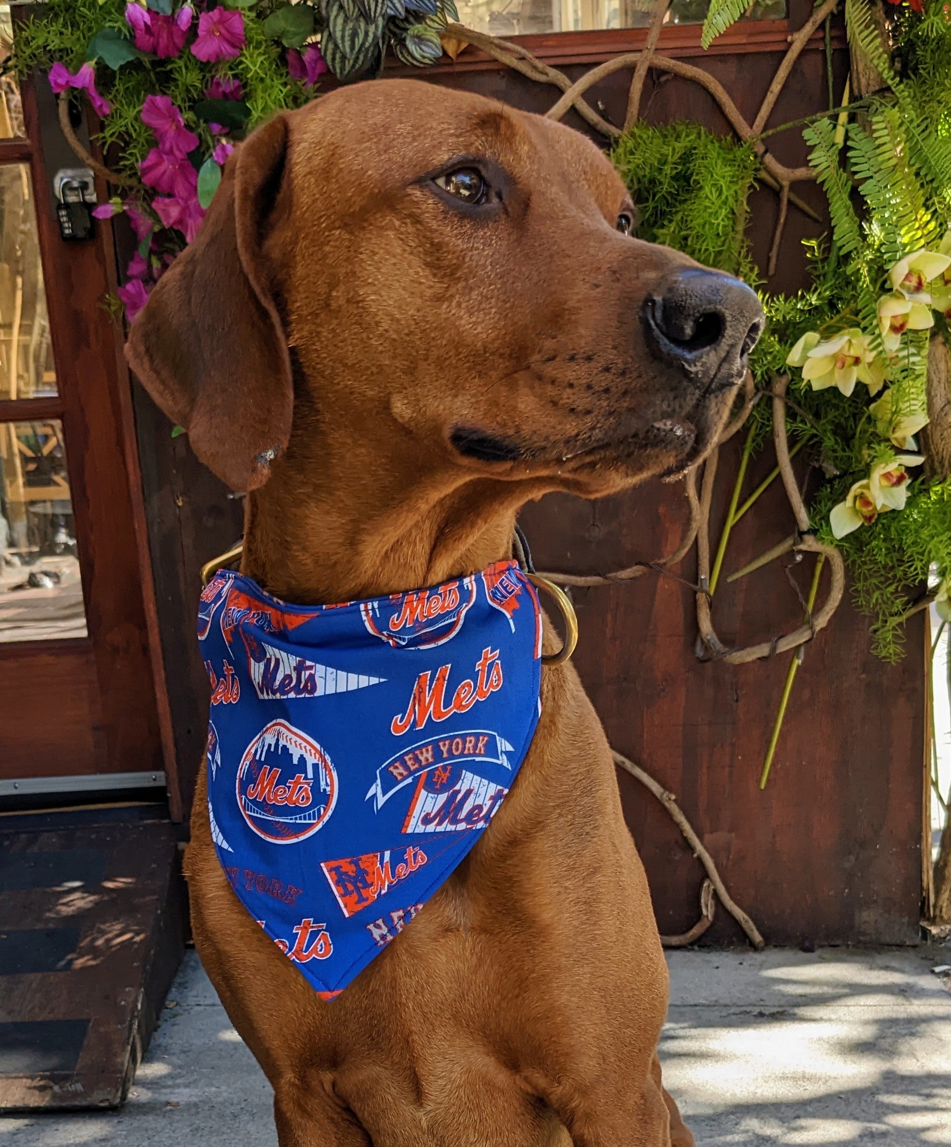 Pet First NY Mets Dog Jersey X-Small