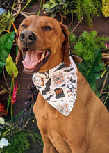 Load image into Gallery viewer, Koa's Ruff Life, Koa in a large Hallow's Eve large bandana for dogs