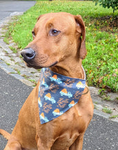 Load image into Gallery viewer, Koa's Ruff Life, Koa in a large blue Hello Fall dog bandana