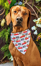 Load image into Gallery viewer, Koa's Ruff Life, Koa in a large Happy Pawliday bandana for dogs