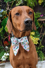 Load image into Gallery viewer, Koa's Ruff Life, Koa in a large Christmas tractor sailor bow for dogs