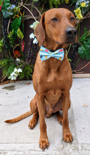 Load image into Gallery viewer, Koa's Ruff Life, Koa in a large blue fall rain umbrella bow tie for dogs