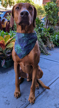 Load image into Gallery viewer, Koa's Ruff Life, Koa in a large green spider web Halloween bandana for dogs personalized with your pup's name