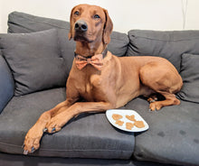 Load image into Gallery viewer, Koa's Ruff Life, Halloween cookies may be ordered in peanut butter, pumpkin or cheese