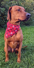 Load image into Gallery viewer, Koa's Ruff Life, Koa in a large red skull tartan plaid bandana personalized with your pup's name