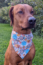 Load image into Gallery viewer, Koa's Ruff Life, Koa in a large fall camping bandana for dogs personalized with your pup's name. With camp fires and smores!