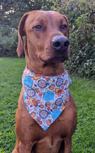 Load image into Gallery viewer, Koa's Ruff Life, Koa in a large fall camping bandana for dogs personalized with your pup's name. With camp fires and smores!