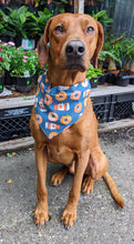 Load image into Gallery viewer, Fall Coffee and Pumpkin Donuts Bandana